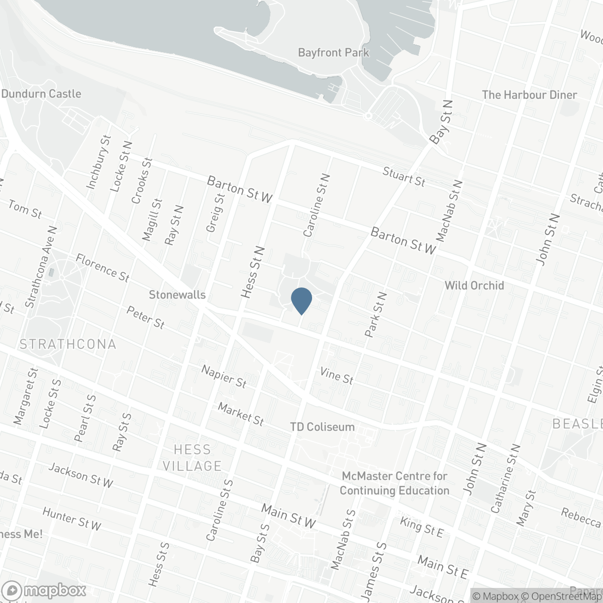 29 RAILWAY STREET, Hamilton, Ontario L8R 2R4